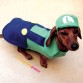 Perro de Luigi